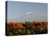 Mount Kilimanjaro, Tanzania, East Africa, Africa-Groenendijk Peter-Stretched Canvas