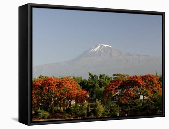 Mount Kilimanjaro, Tanzania, East Africa, Africa-Groenendijk Peter-Framed Stretched Canvas