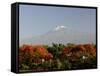 Mount Kilimanjaro, Tanzania, East Africa, Africa-Groenendijk Peter-Framed Stretched Canvas