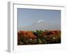 Mount Kilimanjaro, Tanzania, East Africa, Africa-Groenendijk Peter-Framed Premium Photographic Print