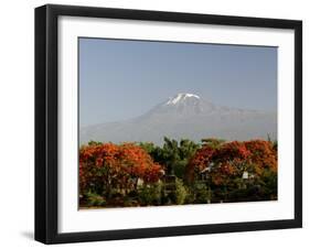 Mount Kilimanjaro, Tanzania, East Africa, Africa-Groenendijk Peter-Framed Photographic Print