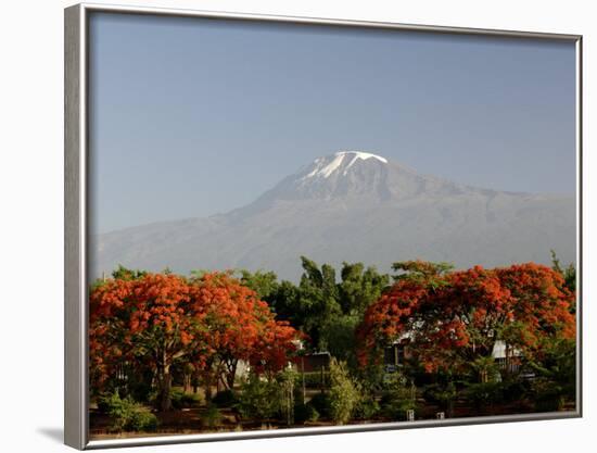 Mount Kilimanjaro, Tanzania, East Africa, Africa-Groenendijk Peter-Framed Photographic Print