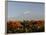 Mount Kilimanjaro, Tanzania, East Africa, Africa-Groenendijk Peter-Framed Photographic Print