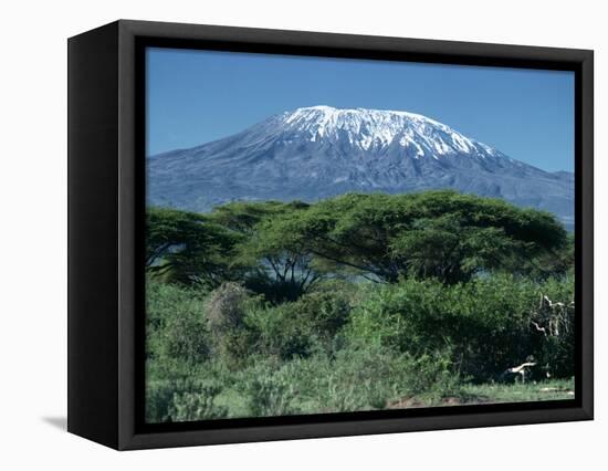 Mount Kilimanjaro, Tanzania, East Africa, Africa-Sassoon Sybil-Framed Stretched Canvas