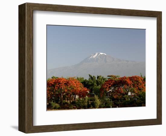 Mount Kilimanjaro, Tanzania, East Africa, Africa-Groenendijk Peter-Framed Photographic Print