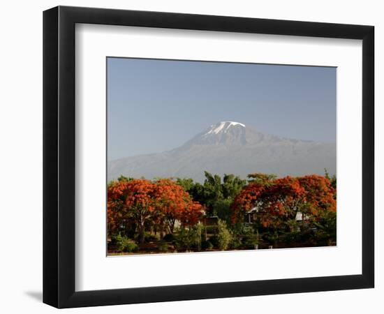 Mount Kilimanjaro, Tanzania, East Africa, Africa-Groenendijk Peter-Framed Photographic Print