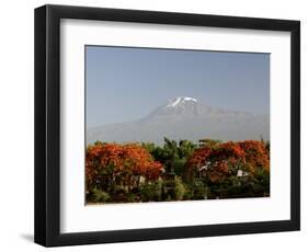 Mount Kilimanjaro, Tanzania, East Africa, Africa-Groenendijk Peter-Framed Photographic Print