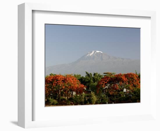 Mount Kilimanjaro, Tanzania, East Africa, Africa-Groenendijk Peter-Framed Photographic Print
