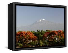 Mount Kilimanjaro, Tanzania, East Africa, Africa-Groenendijk Peter-Framed Stretched Canvas