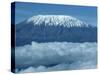 Mount Kilimanjaro, UNESCO World Heritage Site, Seen from Kenya, East Africa, Africa-Harding Robert-Stretched Canvas