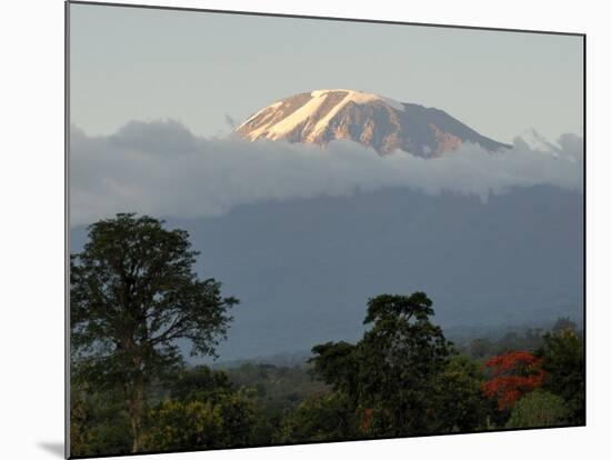 Mount Kilimanjaro, UNESCO World Heritage Site, Tanzania, East Africa, Africa-Groenendijk Peter-Mounted Photographic Print