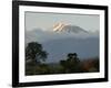 Mount Kilimanjaro, UNESCO World Heritage Site, Tanzania, East Africa, Africa-Groenendijk Peter-Framed Photographic Print