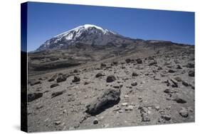 Mount Kilimanjaro-null-Stretched Canvas