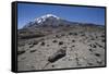 Mount Kilimanjaro-null-Framed Stretched Canvas