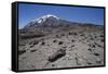 Mount Kilimanjaro-null-Framed Stretched Canvas