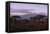 Mount Kilimanjaro-DLILLC-Framed Stretched Canvas