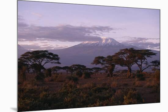 Mount Kilimanjaro-DLILLC-Mounted Premium Photographic Print