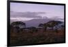 Mount Kilimanjaro-DLILLC-Framed Premium Photographic Print