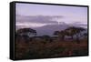 Mount Kilimanjaro-DLILLC-Framed Stretched Canvas