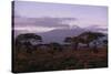 Mount Kilimanjaro-DLILLC-Stretched Canvas