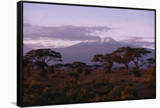 Mount Kilimanjaro-DLILLC-Framed Stretched Canvas