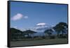 Mount Kilimanjaro-DLILLC-Framed Stretched Canvas