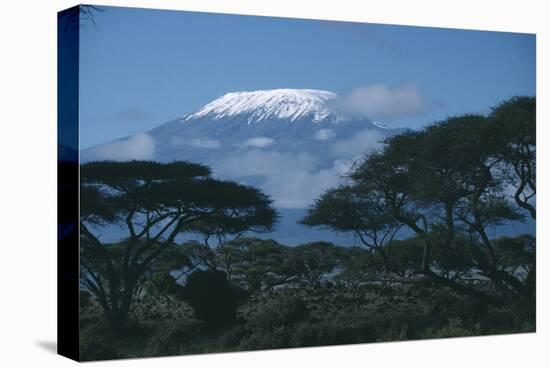 Mount Kilimanjaro-DLILLC-Stretched Canvas