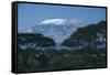 Mount Kilimanjaro-DLILLC-Framed Stretched Canvas