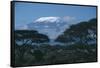 Mount Kilimanjaro-DLILLC-Framed Stretched Canvas