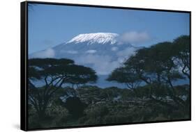 Mount Kilimanjaro-DLILLC-Framed Stretched Canvas