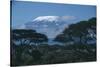 Mount Kilimanjaro-DLILLC-Stretched Canvas