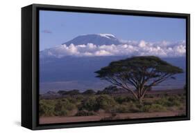 Mount Kilimanjaro-DLILLC-Framed Stretched Canvas