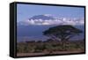 Mount Kilimanjaro-DLILLC-Framed Stretched Canvas