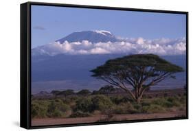 Mount Kilimanjaro-DLILLC-Framed Stretched Canvas