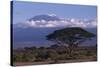 Mount Kilimanjaro-DLILLC-Stretched Canvas