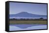 Mount Kilimanjaro-DLILLC-Framed Stretched Canvas