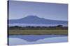 Mount Kilimanjaro-DLILLC-Stretched Canvas