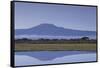 Mount Kilimanjaro-DLILLC-Framed Stretched Canvas