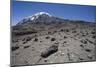 Mount Kilimanjaro-null-Mounted Photographic Print