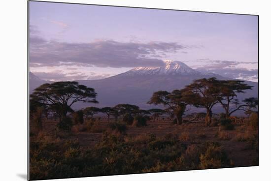 Mount Kilimanjaro-DLILLC-Mounted Photographic Print