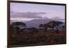 Mount Kilimanjaro-DLILLC-Framed Photographic Print