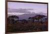 Mount Kilimanjaro-DLILLC-Framed Photographic Print