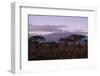 Mount Kilimanjaro-DLILLC-Framed Photographic Print