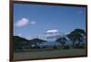 Mount Kilimanjaro-DLILLC-Framed Photographic Print