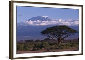 Mount Kilimanjaro-DLILLC-Framed Photographic Print