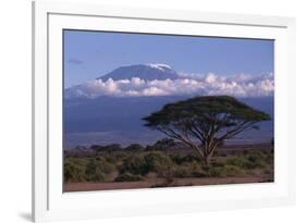 Mount Kilimanjaro-DLILLC-Framed Photographic Print