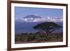 Mount Kilimanjaro-DLILLC-Framed Photographic Print