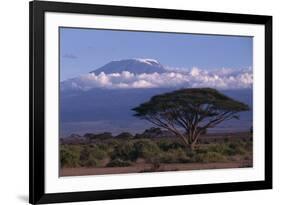 Mount Kilimanjaro-DLILLC-Framed Photographic Print