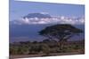 Mount Kilimanjaro-DLILLC-Mounted Photographic Print