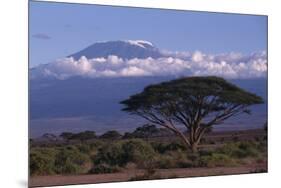 Mount Kilimanjaro-DLILLC-Mounted Photographic Print